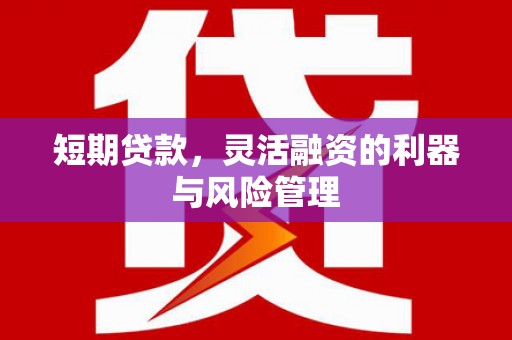 巴青短期贷款，灵活融资的利器与风险管理
