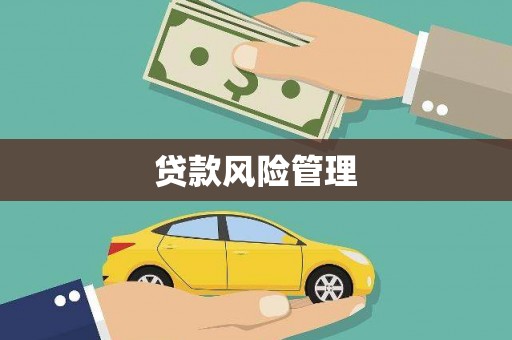 巴青贷款风险管理