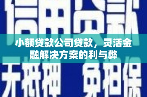 巴青小额贷款公司贷款，灵活金融解决方案的利与弊