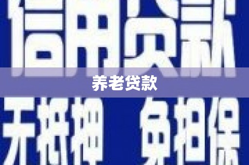 巴青养老贷款