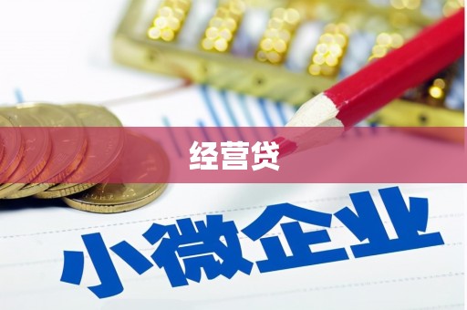 巴青经营贷