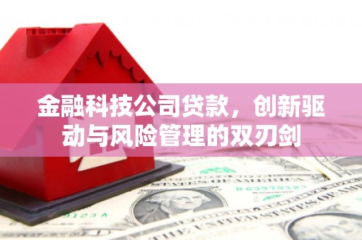 巴青金融科技公司贷款，创新驱动与风险管理的双刃剑