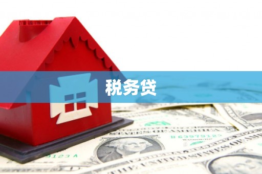 巴青税务贷